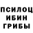 Галлюциногенные грибы ЛСД Nerei Satsune