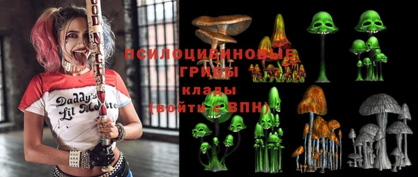 винт Алзамай