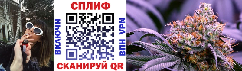 Канабис Bruce Banner  Сельцо 